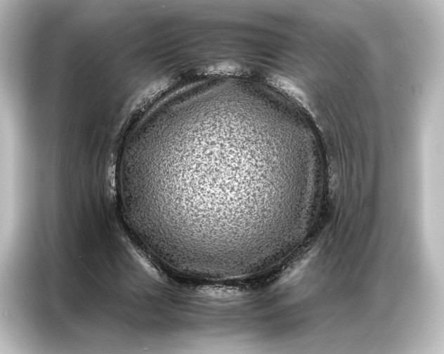 X0000087060633200705021217