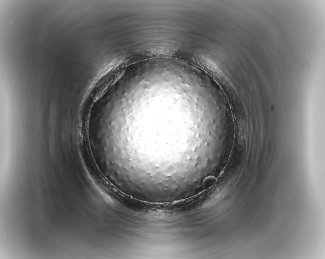 X0000087060634200705021217