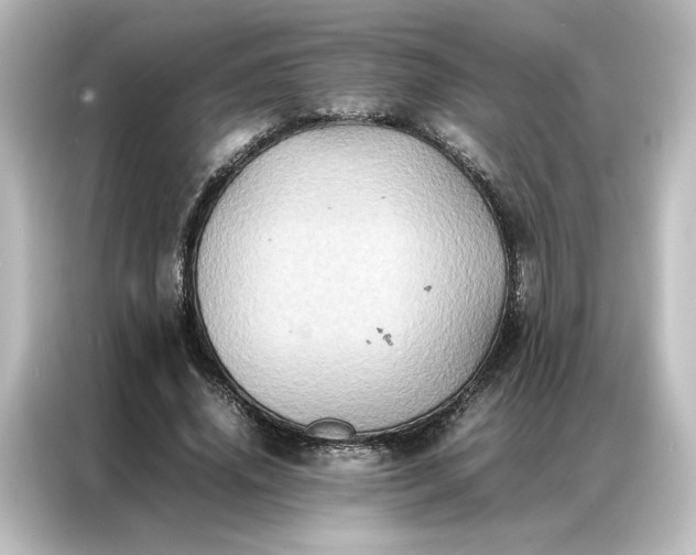 X0000087060636200705021217