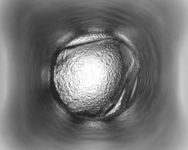 X0000087060637200705021217