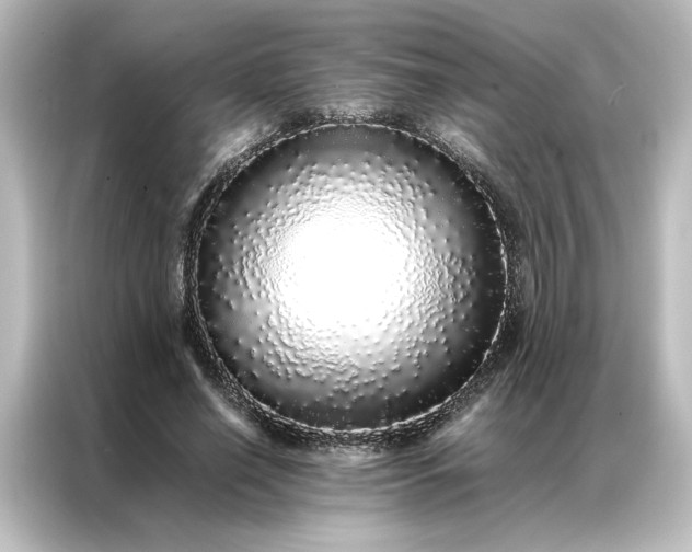 X0000087060638200705021217