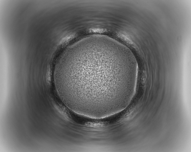 X0000087060639200705021217