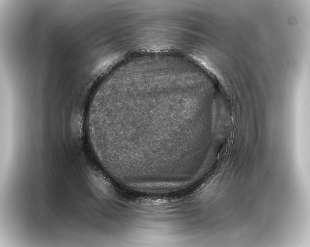 X0000087060640200705021217