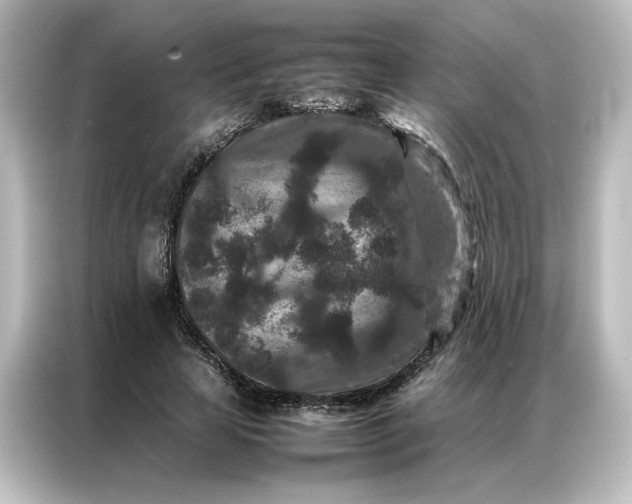 X0000087060641200705021217