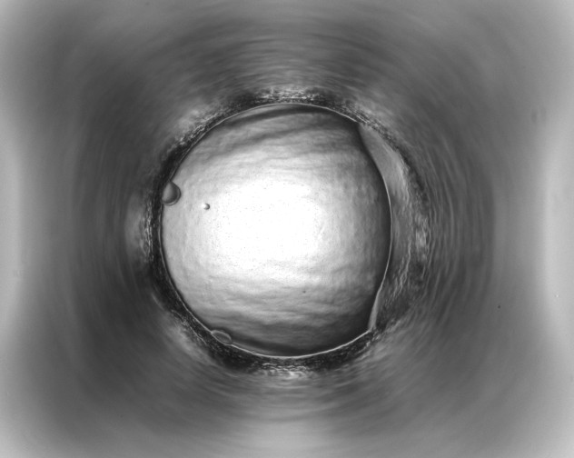 X0000087060642200705021217