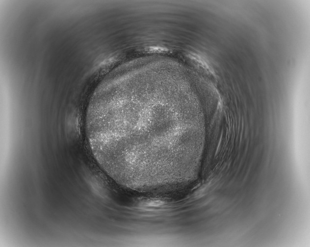 X0000087060643200705021217