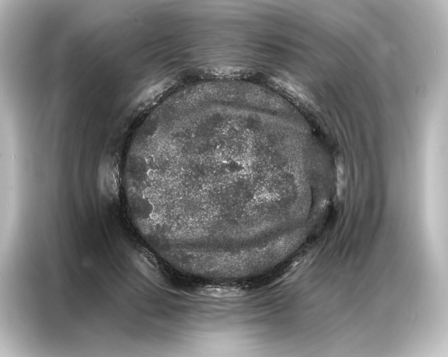 X0000087060644200705021217