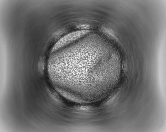 X0000087060645200705021217