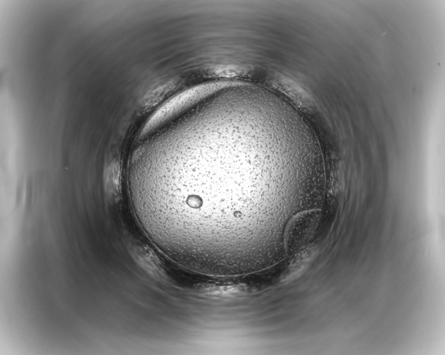 X0000087060646200705021217