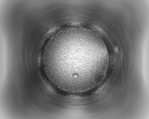 X0000087060648200705021217