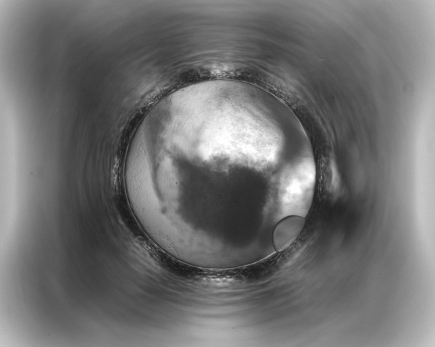 X0000087060650200705021217