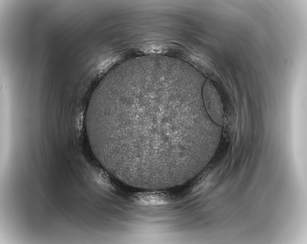 X0000087060652200705021217