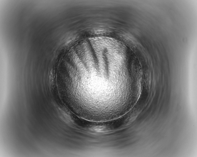 X0000087060653200705021217