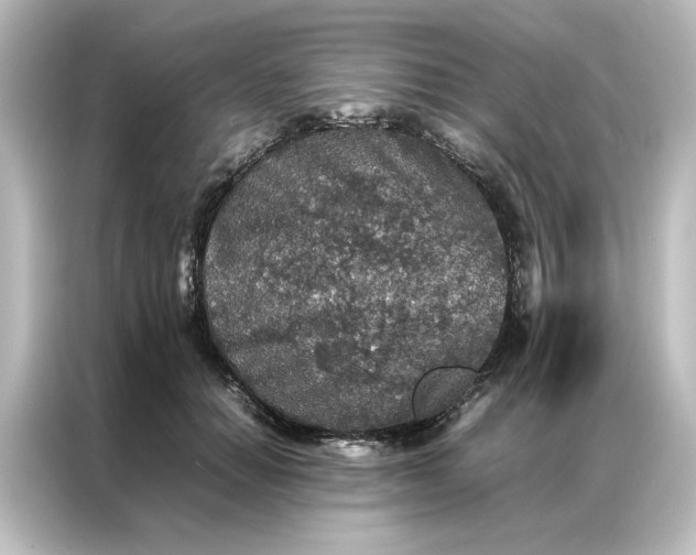 X0000087060654200705021217