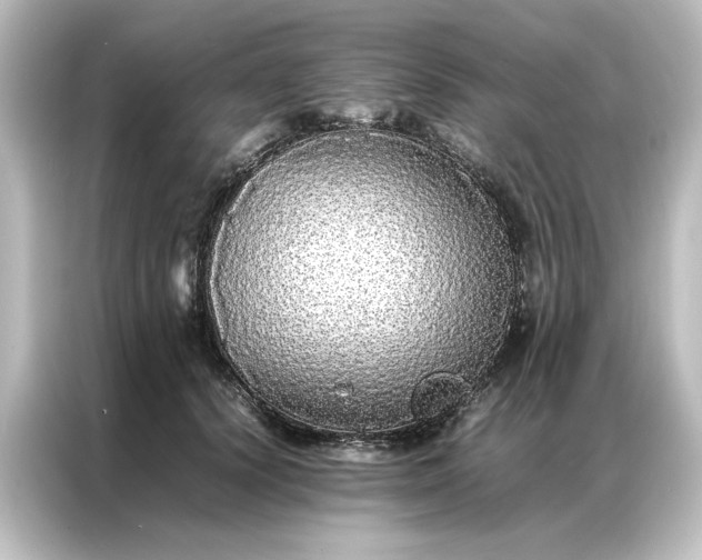 X0000087060656200705021217