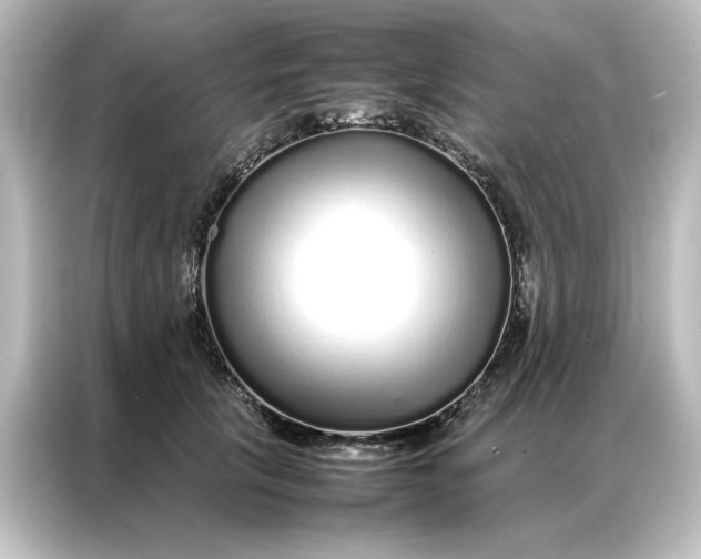 X0000087060657200705021217