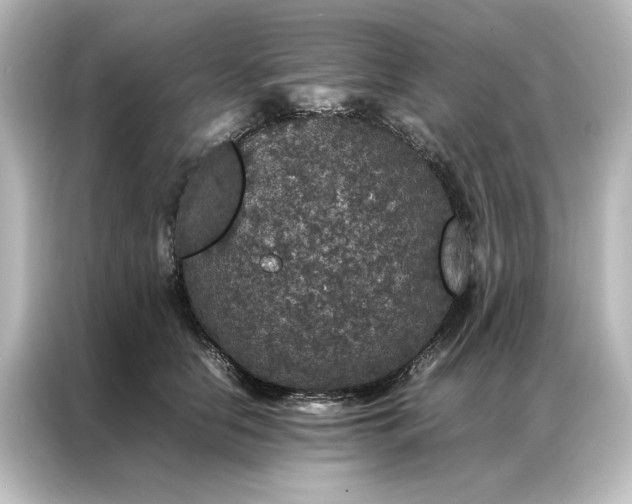 X0000087060658200705021217