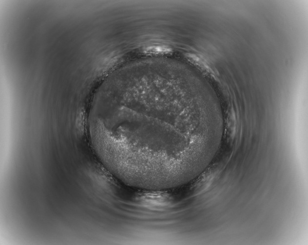 X0000087060659200705021217