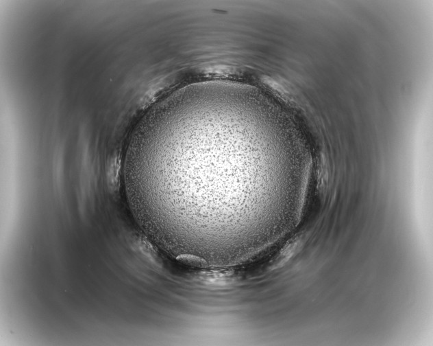 X0000087060660200705021218