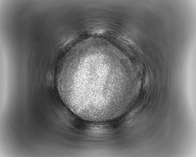 X0000087060661200705021218