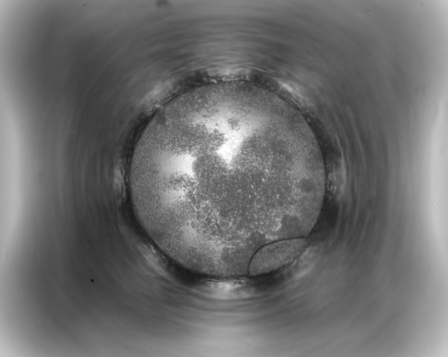 X0000087060662200705021218