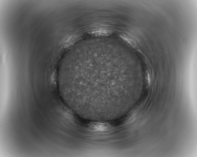 X0000087060663200705021218