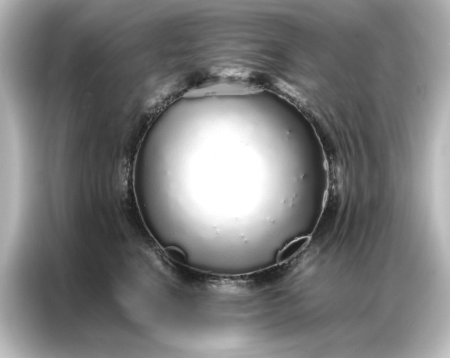 X0000087060664200705021218