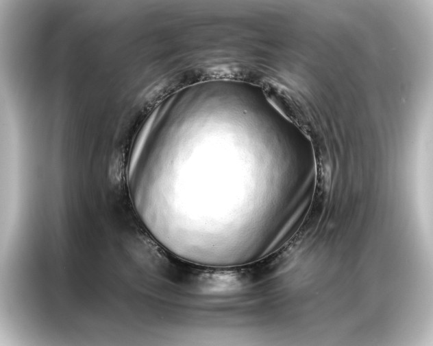 X0000087060665200705021218