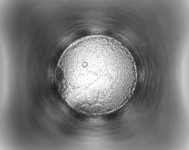 X0000087060666200705021218