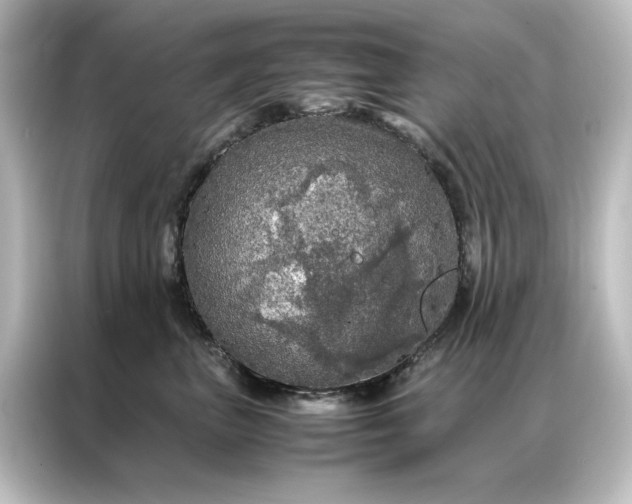 X0000087060667200705021218