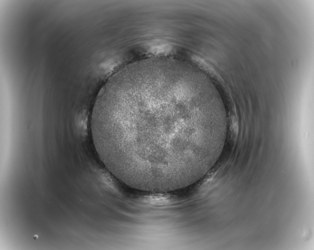 X0000087060668200705021218