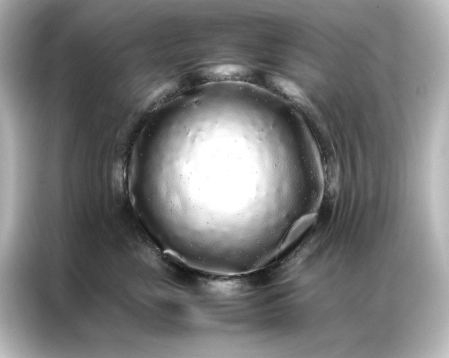 X0000087060669200705021218