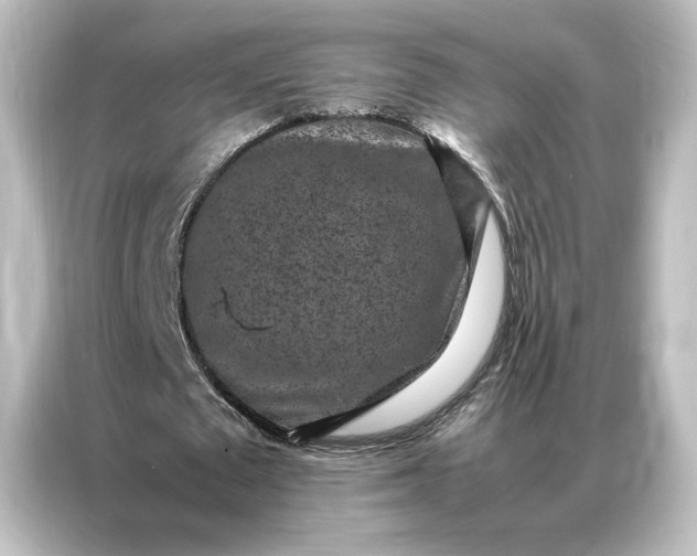 X0000087060673200705021217