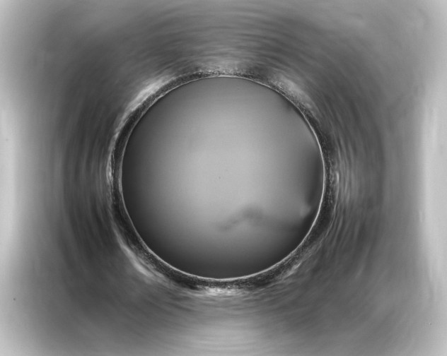 X0000087060674200705021217