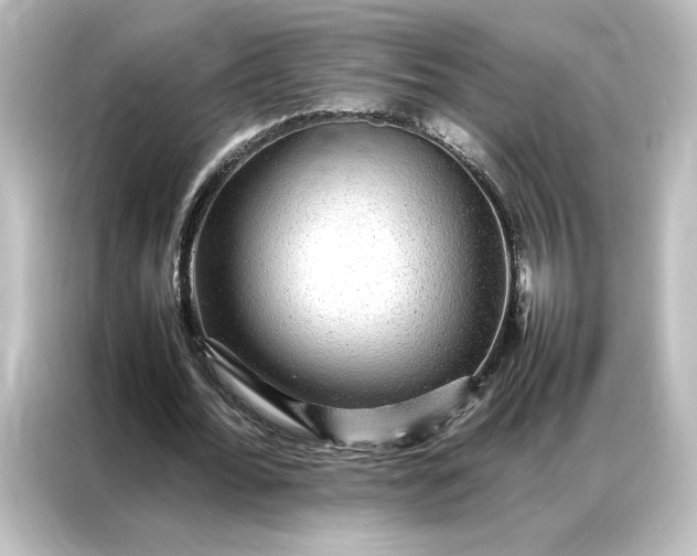 X0000087060676200705021217