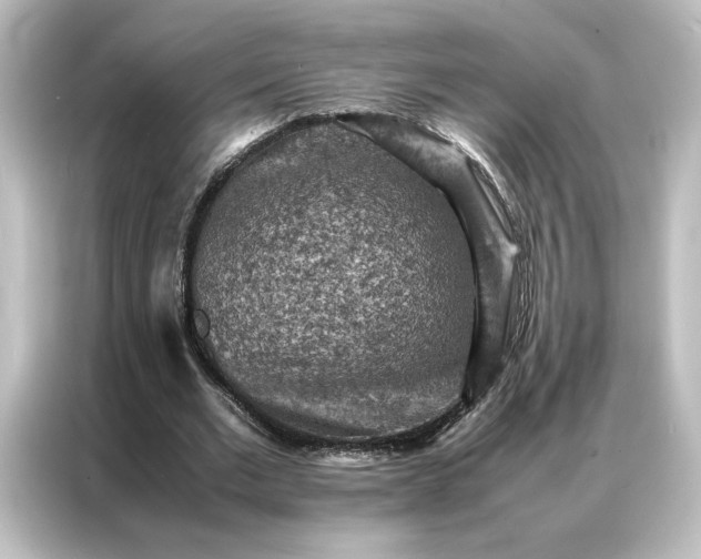 X0000087060677200705021217