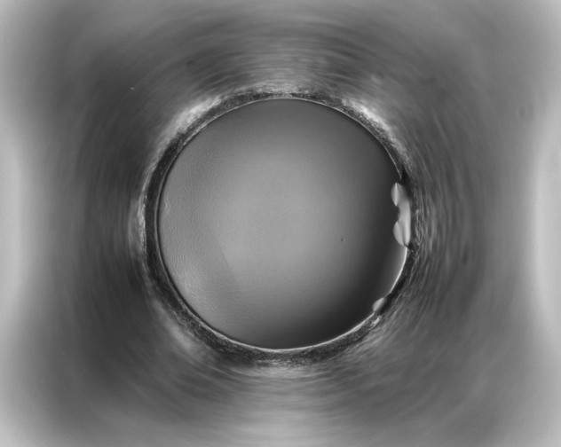 X0000087060678200705021217