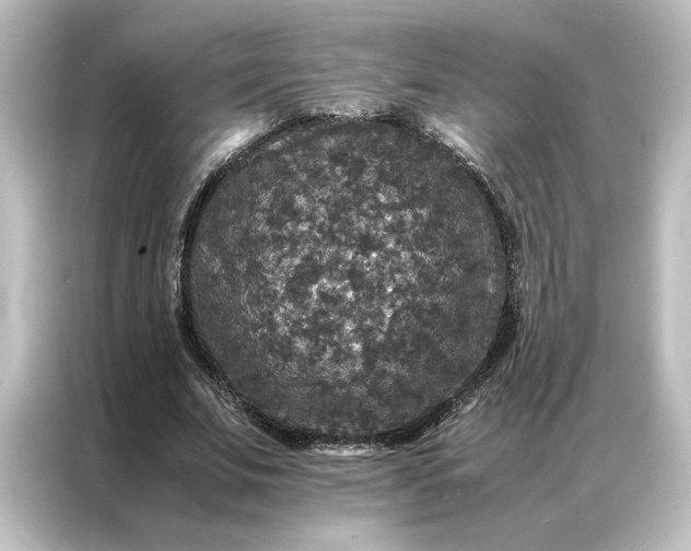 X0000087060679200705021217