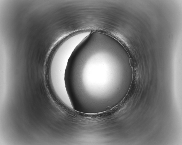 X0000087060680200705021217