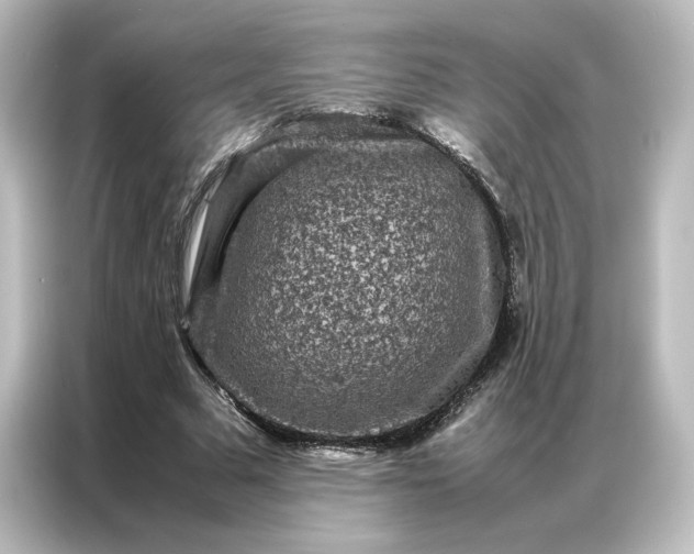 X0000087060681200705021217