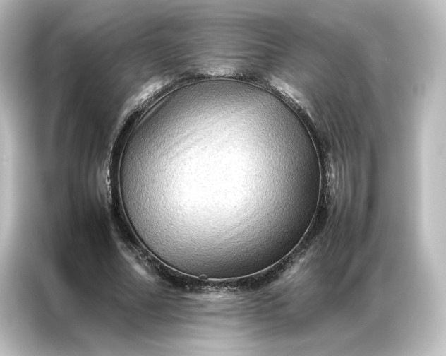 X0000087060682200705021217