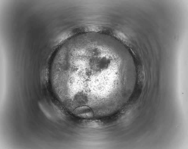 X0000087060683200705021217