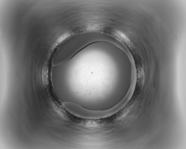 X0000087060684200705021217