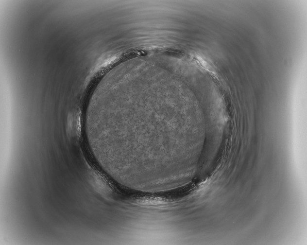 X0000087060685200705021217