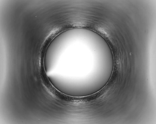 X0000087060686200705021217