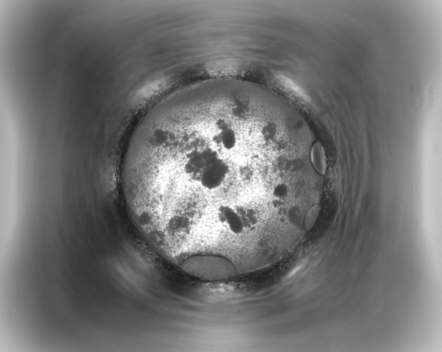 X0000087060687200705021217