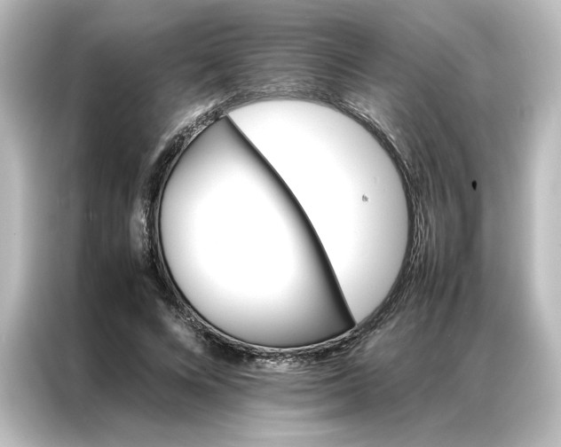 X0000087060688200705021217