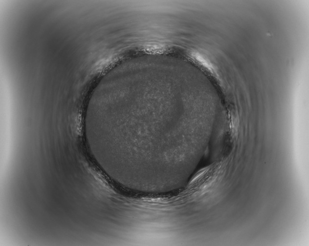 X0000087060689200705021217