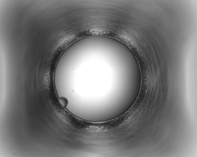 X0000087060690200705021217