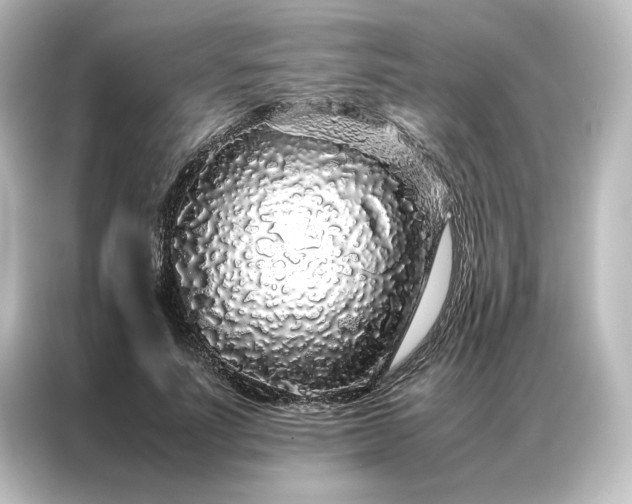 X0000087060691200705021217